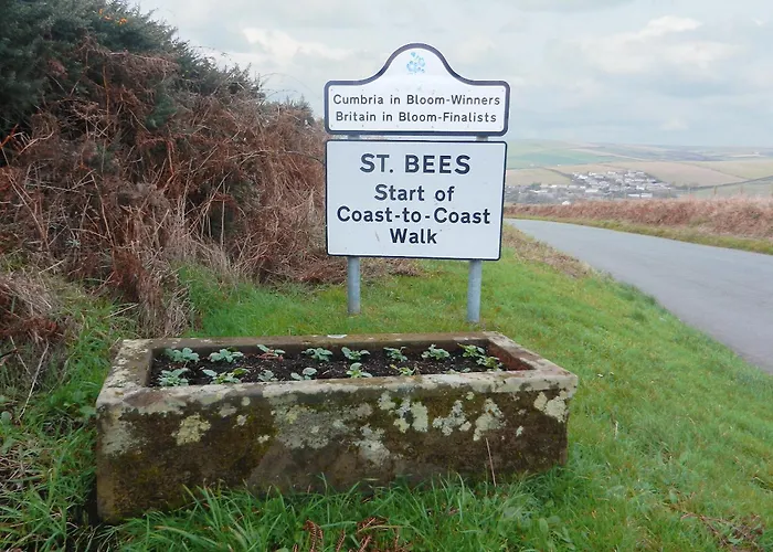 The Byres Tan 圣比斯